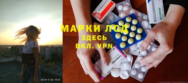 шишки Беломорск