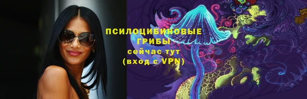дмт Белокуриха