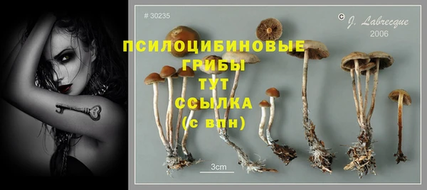 дурь Белоозёрский