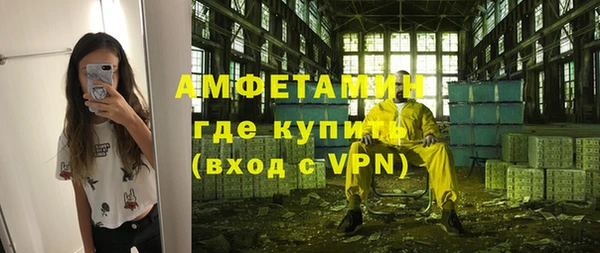 шишки Беломорск