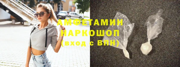 шишки Беломорск