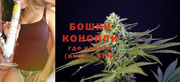 шишки Беломорск