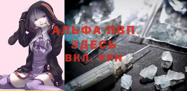 шишки Беломорск