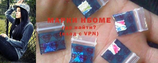 шишки Беломорск