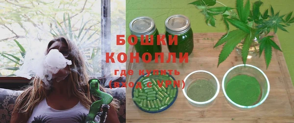 дмт Белокуриха